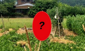 Petani Jepang Menggunakan Orang-Orangan Sawah Yang Membuat Trauma Anak Kecil