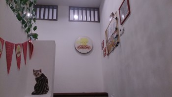 [Review] Cutie Cats Cafe
